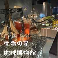 【箱根】神奈川県立生命の星・地球博物館