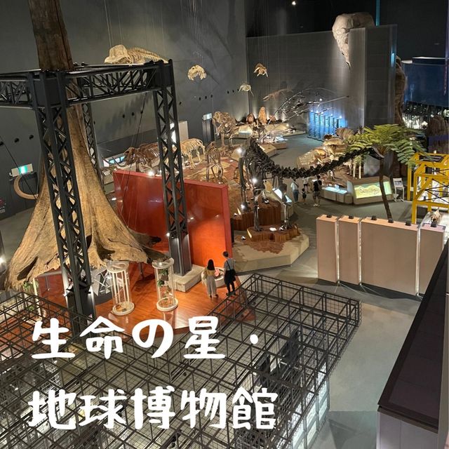 【箱根】神奈川県立生命の星・地球博物館