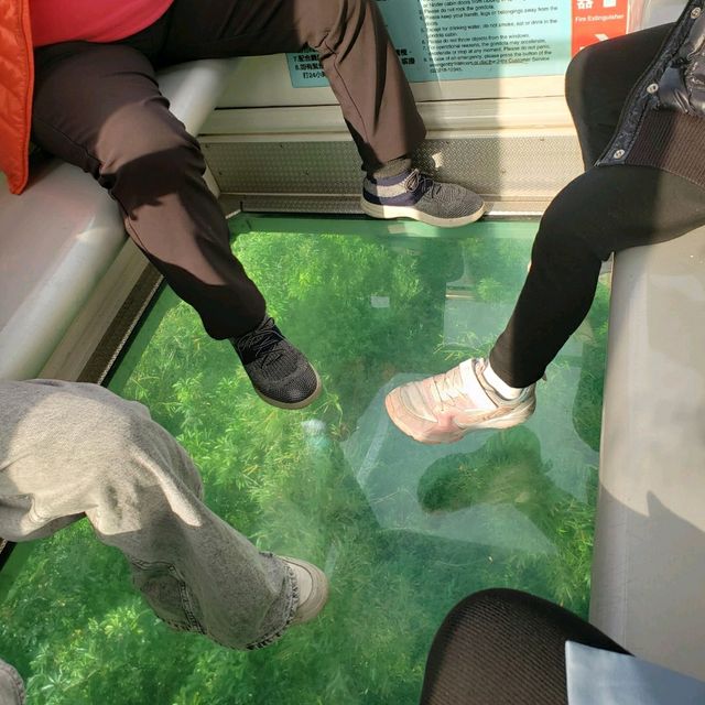 腳底發麻【台北文山】貓空水晶纜車之旅