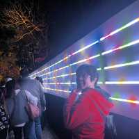 Yuejin Lantern Festival 2023