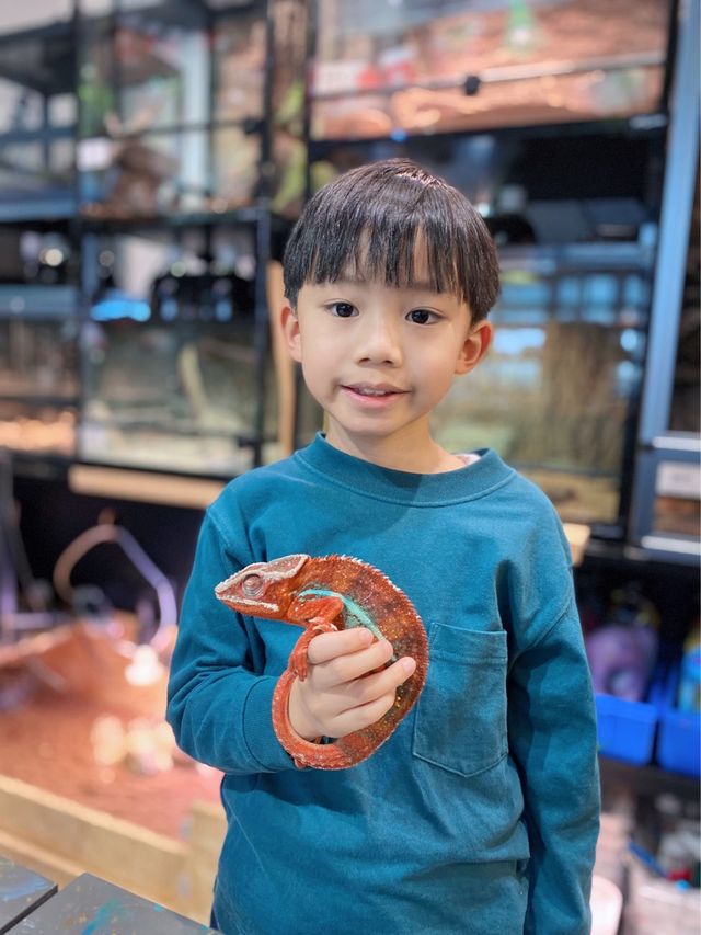 【親子好去處】｜ 爬蟲工作坊