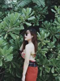 ชุมพร 🌱🍃
