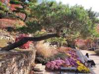 Hwadam Botanic Garden