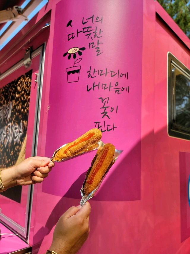 노랑 금계국이 어여쁜 함안 악양생태공원🌼