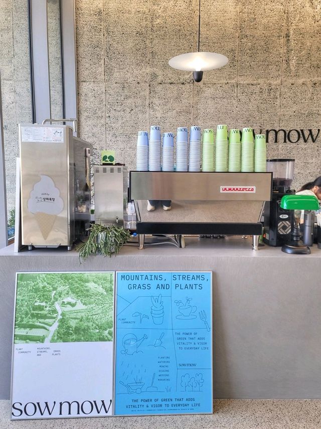 3월초 오픈한 역대급 통창뷰 청도 신상카페🌳☕️