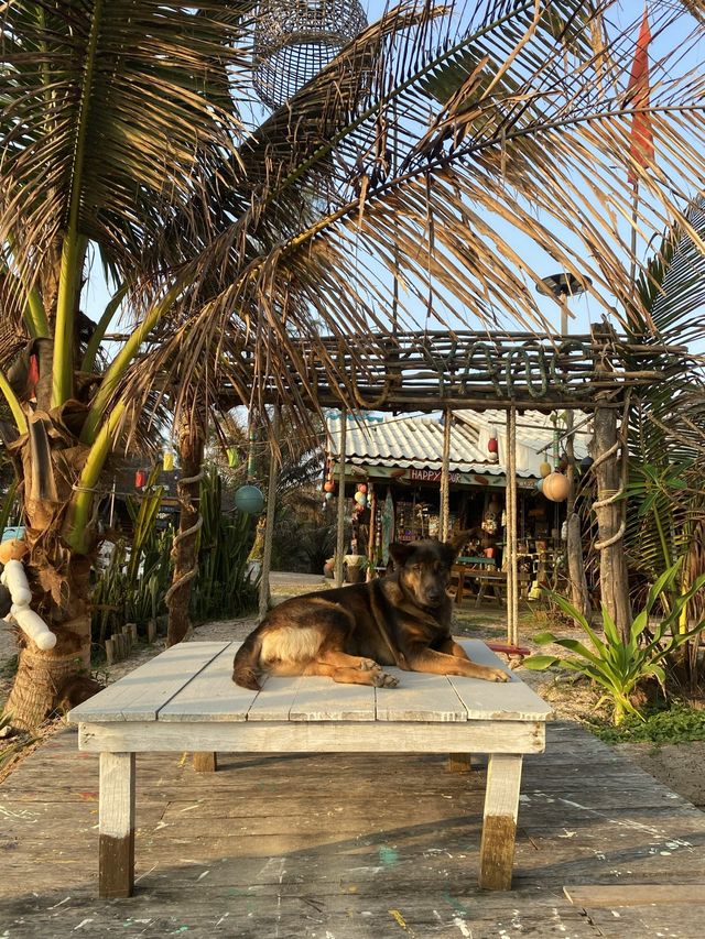 HappyBar แฮปปี้บาร์ หาดทุ่งยาง⛰️🌊
