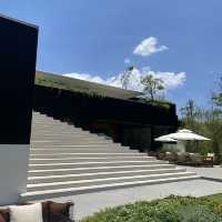 Tree O’ Clock Cafe & Bistro คาเฟ่สวยที่บางโจ