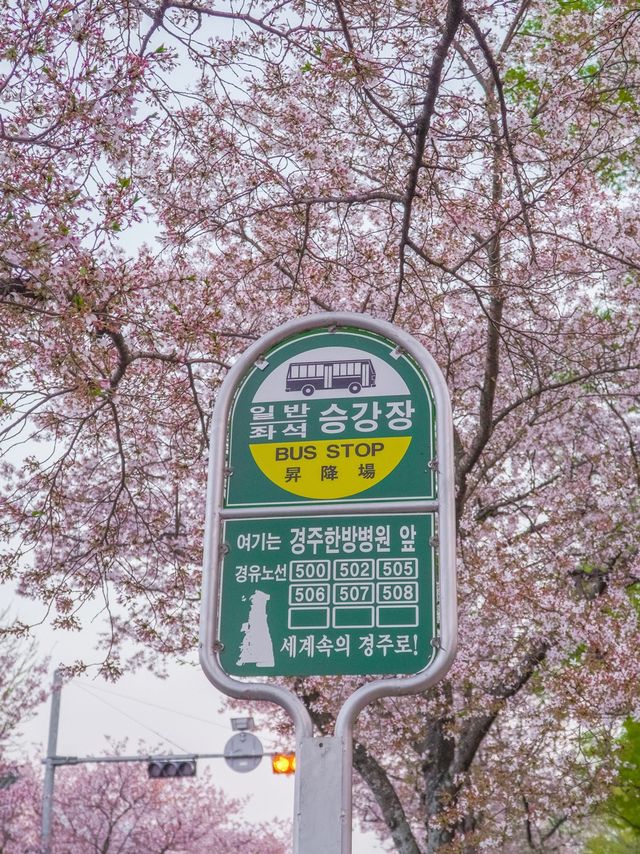 도란도란 이야기 나누며 걷기 좋은 오릉 돌담길