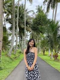 Bali | discover Tibumana waterfall with me