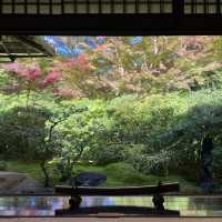 【インスタ映え】京都　瑠璃光院