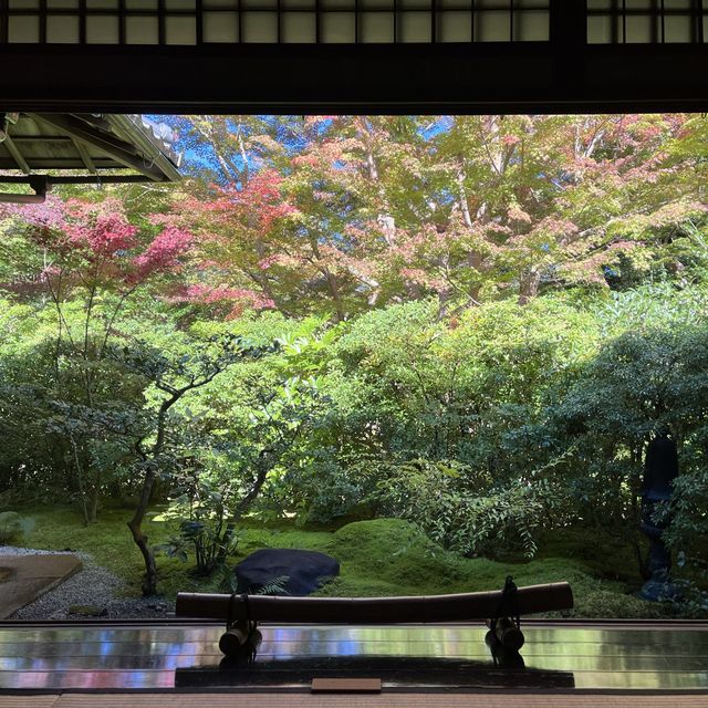 【インスタ映え】京都　瑠璃光院