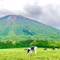 晴れたら景色最高【大山まきばみるくの里】鳥取