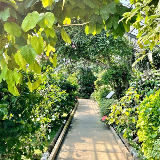 熱帯植物の楽園　熱海バナナワニ園