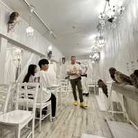 Make friends with an owl in this cafe!