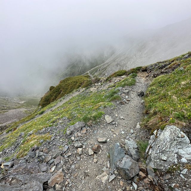 【山梨】天空の花畑！美しき北岳稜線の高山植物