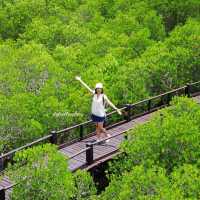 เส้นทางศึกษาธรรมชาติ วนอุทยานปราณบุรี