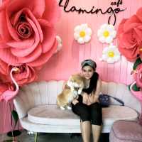 น้องเหมียวชาบู@Flamingo cafe