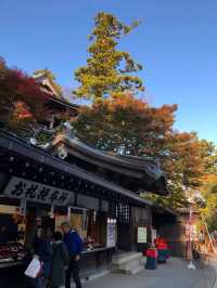 東京市內必去🤪高尾山藥王院😚一日遊推薦😎親子遊最佳景點