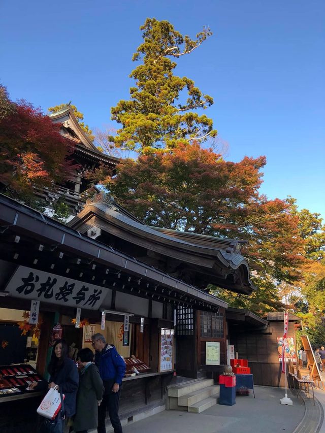 東京市內必去🤪高尾山藥王院😚一日遊推薦😎親子遊最佳景點