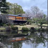 【東京観光】東京の癒しスポット🌳