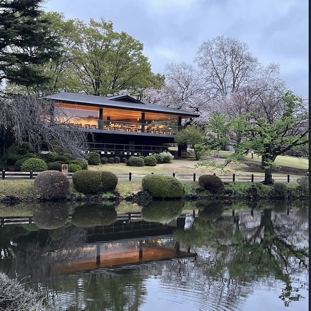 【東京観光】東京の癒しスポット🌳