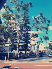 Perth Streets 😎🤩 Hey, It's Hay Street 😁🤭