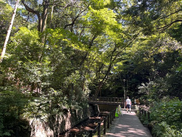 等々力渓谷@東京・世田谷