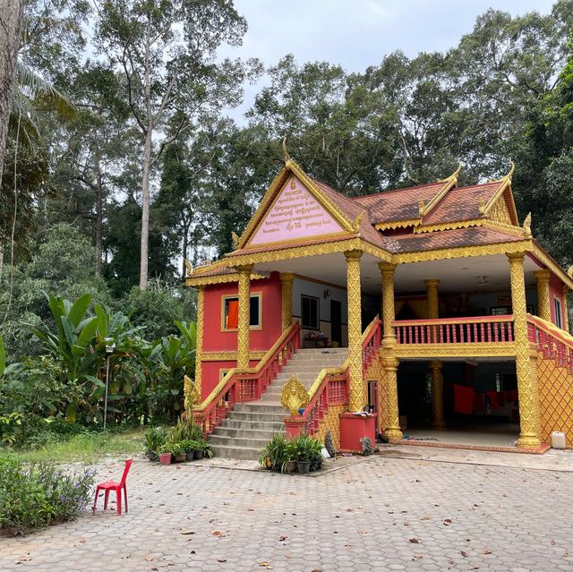 Whispers of Wisdom: Pagoda and School