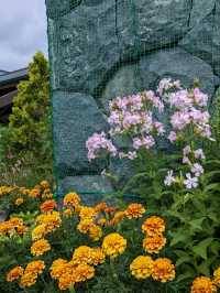 【北海道の大きな公園】キャンプも出来る滝野すずらん丘陵公園