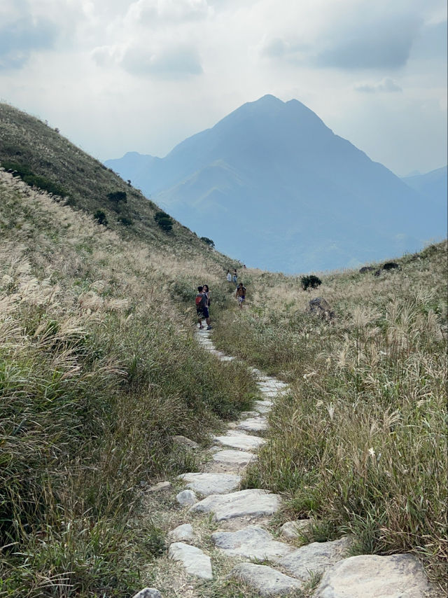 香港🇭🇰 ｜ 季節限定（秋季🍂）- 大東山 ⛰️ （上山前必看）