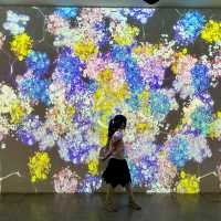 澳門國際藝術雙年展2023京都館•協同節奏 