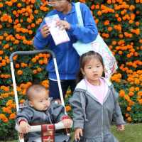 Sea of Flowers in Xinshe