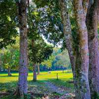 MSU Marawi breathtaking views
