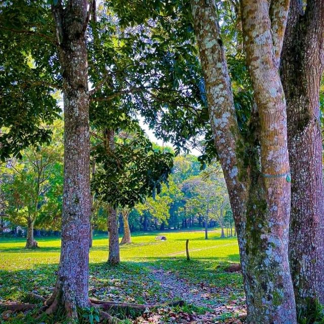 MSU Marawi breathtaking views