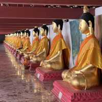 วัดพระมหาธาตุวรมหาวิหาร 🚘