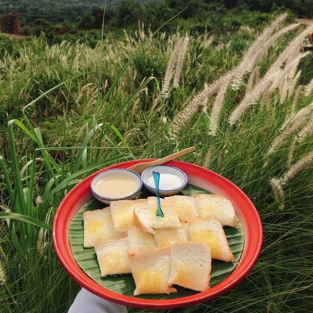 ต้นไม้ใบหญ้าคาเฟ่ แก่งกระจาน จ.เพชรบุรี 🍃