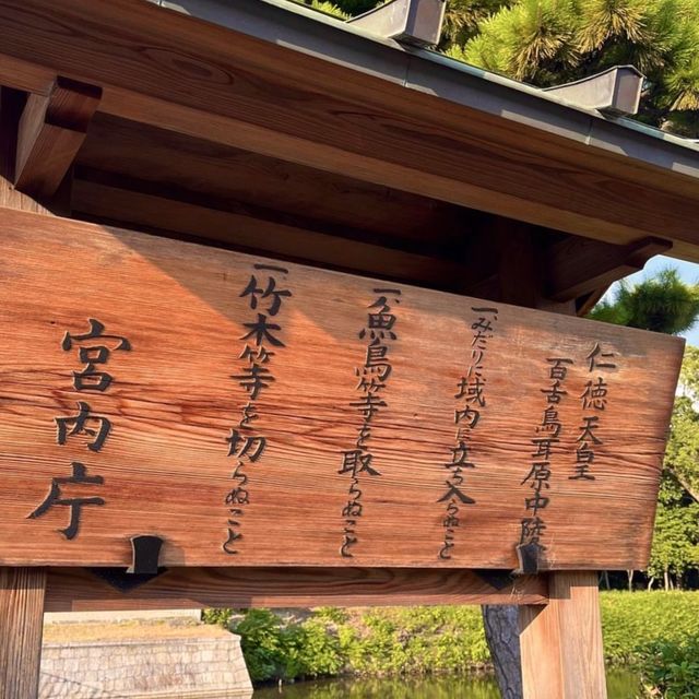 🌳 다이센 고분을 따라 숲공기를 맡으며 사색하며 산책을 해보세요!