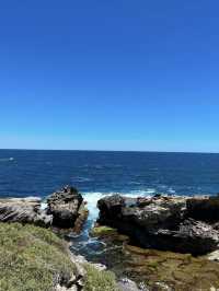 西澳的Rottnest Island：水清沙幼沙灘與微笑袋鼠的天堂！🏝️🌊🦘
