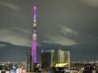 THE GATE HOTEL 雷門 by HULIC