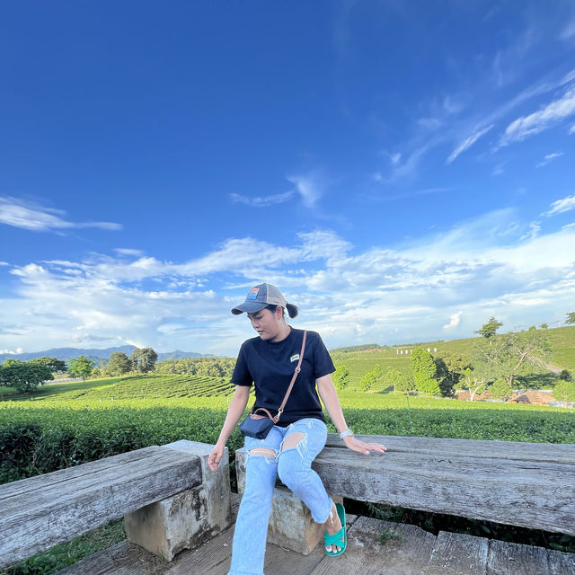 ไร่ชาฉุยฟง 🍃🌱🌿🍃