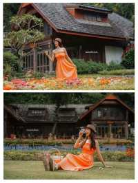 ให้ดอกไม้และขุนเขาโอบกอดเราที่ "Flora Creek"