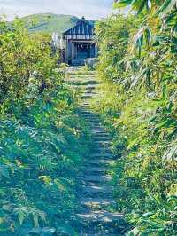 【山形県/御田原神社】2023年行ってよかった！山形県の神社⑦