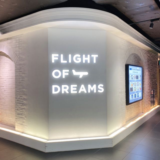 セントレア✈️フライトオブドリームズが最高すぎた