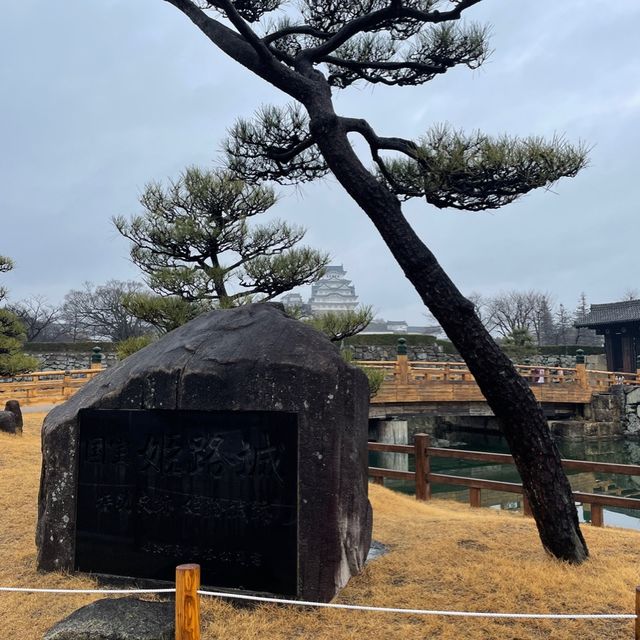 日本🇯🇵三大名城之一‼️國寶雪白姬路城🥹冬日浪漫💕日本🗾城