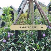 คาเฟ่โพรงกระต่าย Rabbit Cafe @ เขาใหญ่