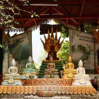 วัดสินไชยาราม เมืองเฟือง เวียงจันทน์