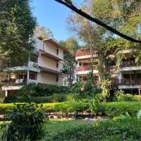 Birds & Bees Resort รีสอร์ทที่ธรรมชาติสุดๆในพัทยา
