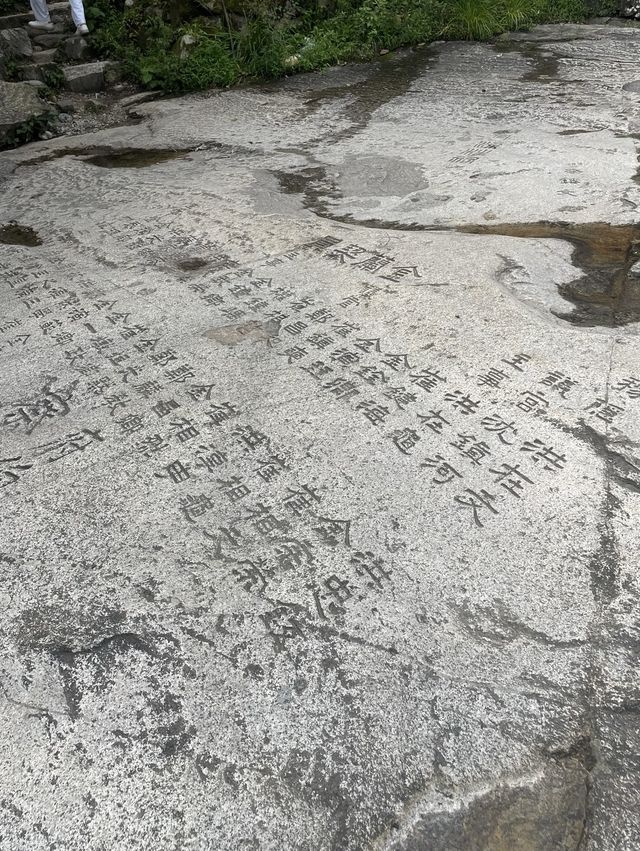 ’동해‘ 1박 하루 추천 코스