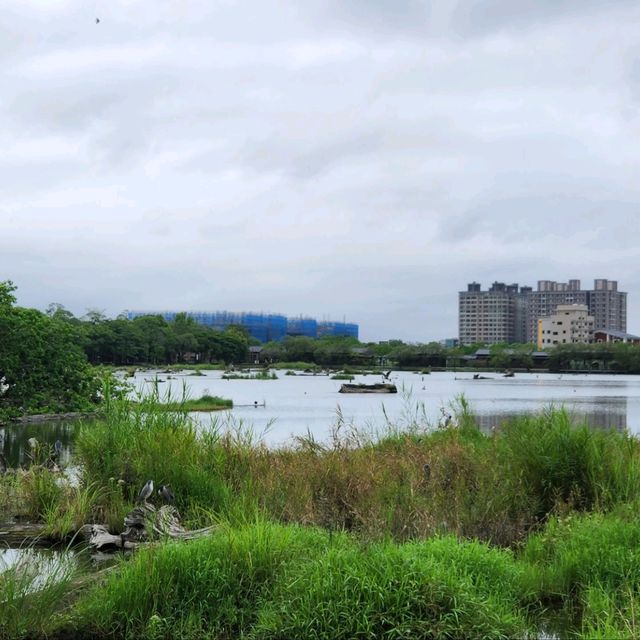 Luodong forest culture park