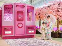 【5月限定】香港賞櫻🌸鐵道🚊之旅